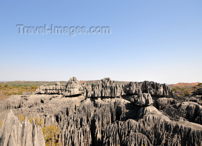 madagascar311: Tsingy de Bemaraha National Park, Mahajanga province, Madagascar: the rocks were formed at the time of Madagascar's separation from mainland Africa,  African tectonic plate - karst limestone formation - UNESCO World Heritage Site - photo by M.Torres - (c) Travel-Images.com - Stock Photography agency - Image Bank