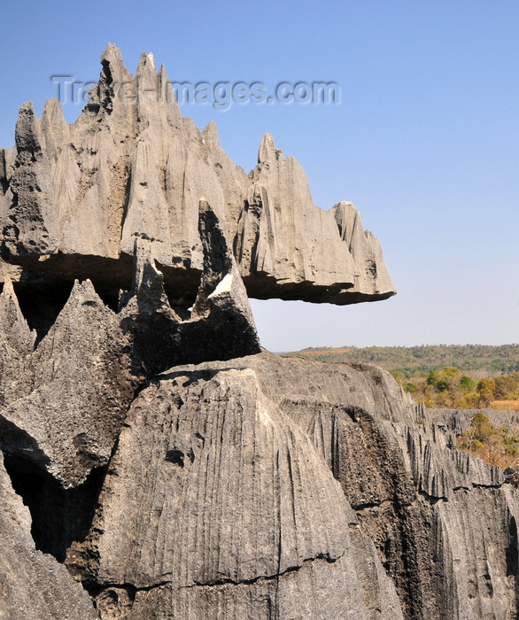 madagascar315: Tsingy de Bemaraha National Park, Mahajanga province, Madagascar: jagged pinnacles - karst limestone formation - UNESCO World Heritage Site - photo by M.Torres - (c) Travel-Images.com - Stock Photography agency - Image Bank