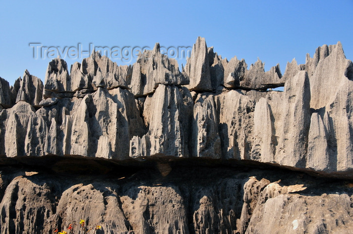 madagascar317: Tsingy de Bemaraha National Park, Mahajanga province, Madagascar: layers of rock - karst limestone formation - UNESCO World Heritage Site - photo by M.Torres - (c) Travel-Images.com - Stock Photography agency - Image Bank