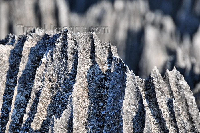 madagascar323: Tsingy de Bemaraha National Park, Mahajanga province, Madagascar: sharp blade of rock - karst limestone formation - UNESCO World Heritage Site - photo by M.Torres - (c) Travel-Images.com - Stock Photography agency - Image Bank
