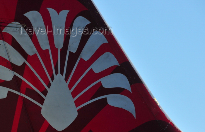 madagascar433: Antananarivo / Tananarive / Tana - Analamanga region, Madagascar: Air Madagascar aircraft tail - traveller's palm logo - Ivato International Airport -  - Boeing 737-3Q8 5R-MFH - photo by M.Torres - (c) Travel-Images.com - Stock Photography agency - Image Bank