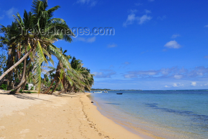 madagascar47: Vohilava, Île Sainte Marie / Nosy Boraha, Analanjirofo region, Toamasina province, Madagascar: tropical beach under the coconut trees - photo by M.Torres - (c) Travel-Images.com - Stock Photography agency - Image Bank