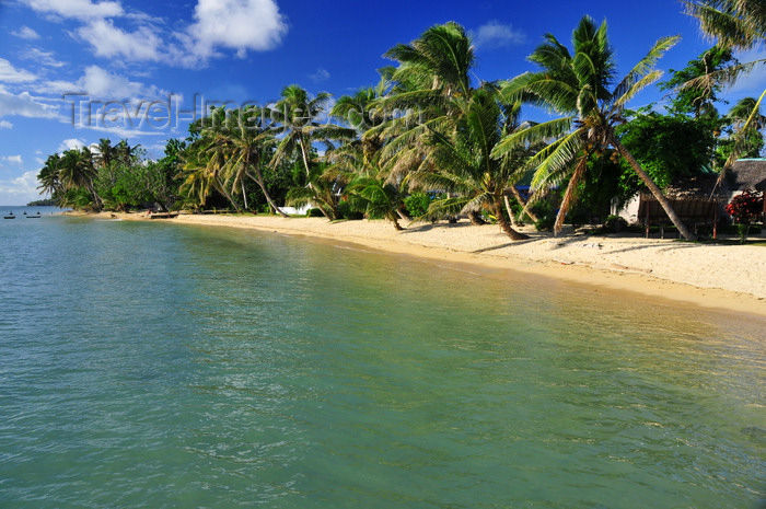 madagascar59: Vohilava, Île Sainte Marie / Nosy Boraha, Analanjirofo region, Toamasina province, Madagascar: coconut trees abd huts along the beach front - photo by M.Torres - (c) Travel-Images.com - Stock Photography agency - Image Bank