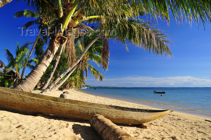 madagascar62: Vohilava, Île Sainte Marie / Nosy Boraha, Analanjirofo region, Toamasina province, Madagascar: dugout canoe under the coconut trees - beach scene - photo by M.Torres - (c) Travel-Images.com - Stock Photography agency - Image Bank