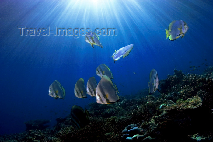 (c) Travel-Images.com - Stock Photography agency - the Global Image Bank