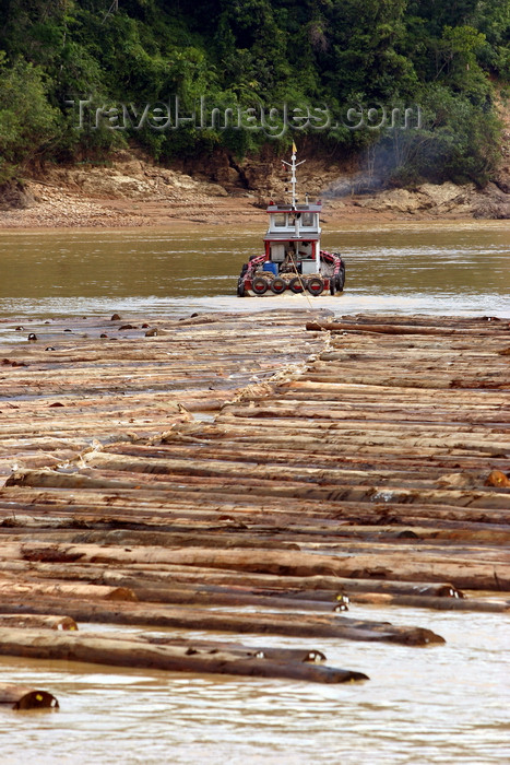 mal138: Rajang River, Sarawak, Borneo, Malaysia: a raft of floating timber makes its way downstream - these rafts are so large they often take up the entire width of the river - photo by R.Eime - (c) Travel-Images.com - Stock Photography agency - Image Bank
