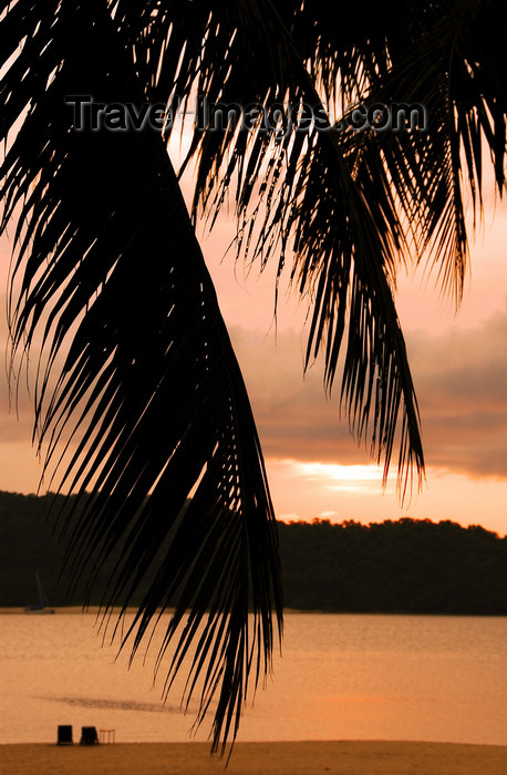 mal396: Beach at sunset - palm leaves, Langkawi, Malaysia. photo by B.Lendrum - (c) Travel-Images.com - Stock Photography agency - Image Bank