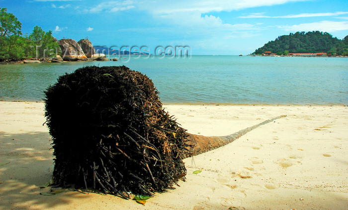 mal438: beach - dead coconut tree, Pangkor Island, Malaysia. photo by B.Lendrum - (c) Travel-Images.com - Stock Photography agency - Image Bank