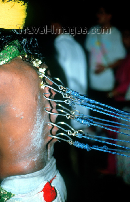 mal454: Batu Caves, Gombak, Selangor: Thaipusam Hindu festival - hooks and cables pulling a man's back - photo by B.Lendrum - (c) Travel-Images.com - Stock Photography agency - Image Bank