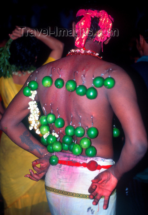 mal455: Batu Caves, Gombak, Selangor: Thaipusam Hindu festival - Kavadi - hooked offerings on the back of a Tamil man - photo by B.Lendrum - (c) Travel-Images.com - Stock Photography agency - Image Bank