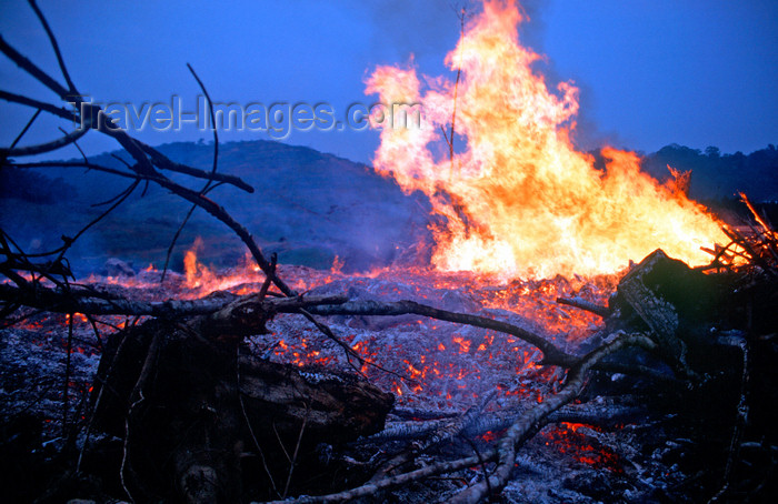 mal458: Fire deforestation to clear land for farming, Sarawak, Malaysia. photo by B.Lendrum - (c) Travel-Images.com - Stock Photography agency - Image Bank