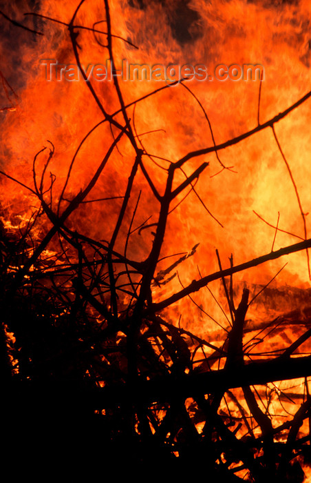 mal459: Fire deforestation - flames on the forest, Sarawak, Malaysia. photo by B.Lendrum - (c) Travel-Images.com - Stock Photography agency - Image Bank