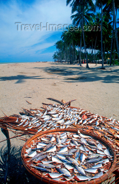 mal465: Tropical beach - fish drying, Kelantan, Kota Baru, Malaysia. photo by B.Lendrum - (c) Travel-Images.com - Stock Photography agency - Image Bank