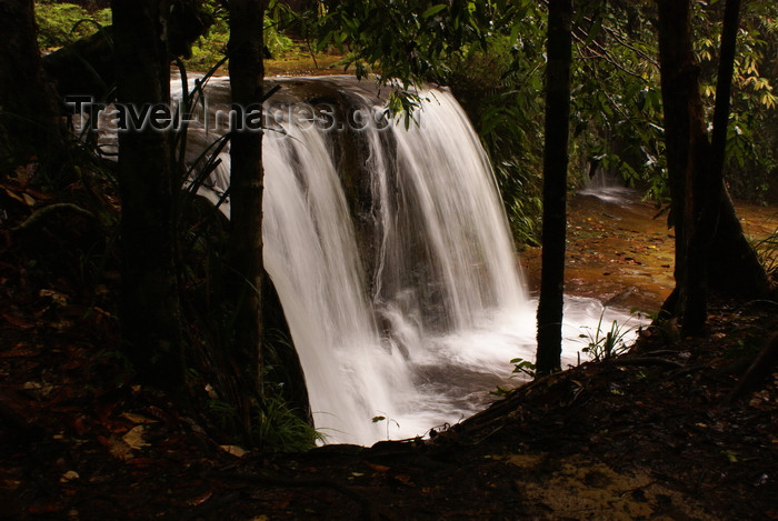 mal519: Lambir Hills National Park, Sarawak, Borneo, Malaysia: waterfall in the dense tropical forest - photo by A.Ferrari - (c) Travel-Images.com - Stock Photography agency - Image Bank
