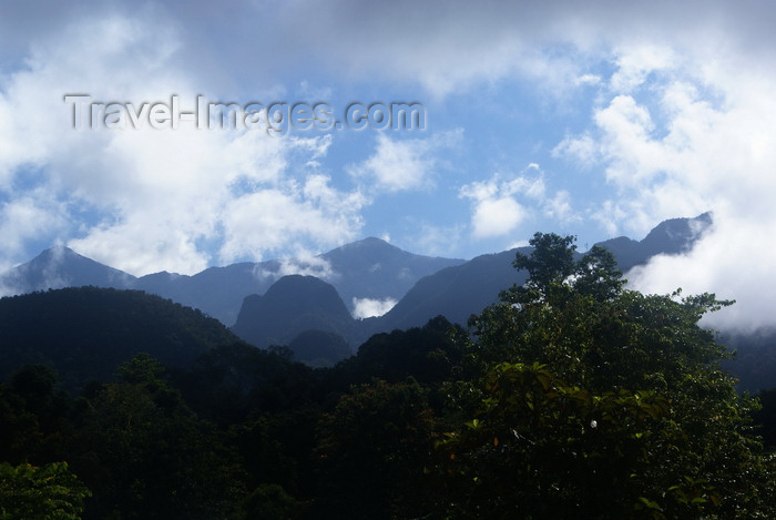 mal524: Gunung Mulu National Park, Sarawak, Borneo, Malaysia: hills covered with lush forest - clouds - Taman Negara Gunung Mulu - photo by A.Ferrari - (c) Travel-Images.com - Stock Photography agency - Image Bank