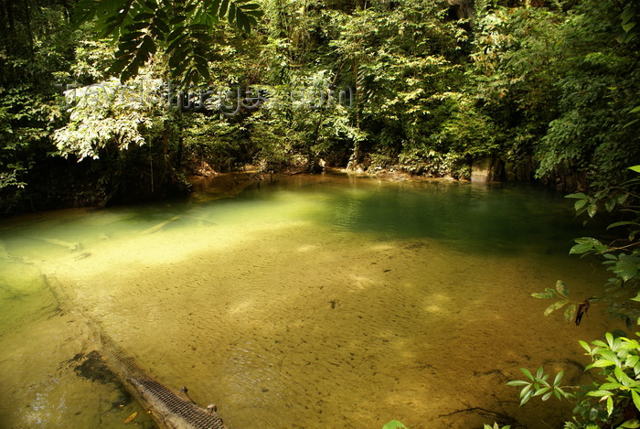 mal538: Gunung Mulu National Park, Sarawak, Borneo, Malaysia: crystal-clear natural pool near Clearwater Cave - photo by A.Ferrari - (c) Travel-Images.com - Stock Photography agency - Image Bank