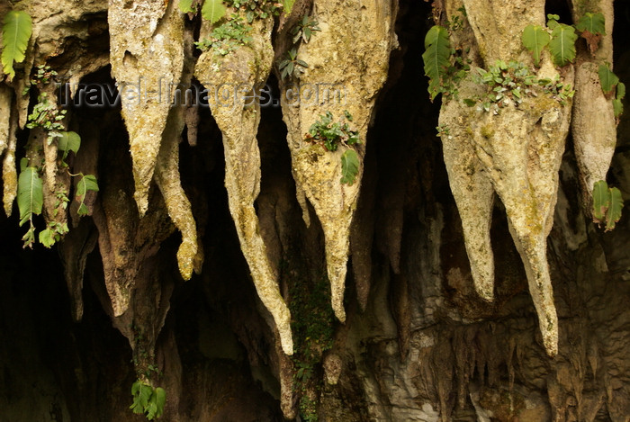 mal541: Gunung Mulu National Park, Sarawak, Borneo, Malaysia: teeth at the mouth of Clearwater Cave - stalagmites - photo by A.Ferrari - (c) Travel-Images.com - Stock Photography agency - Image Bank