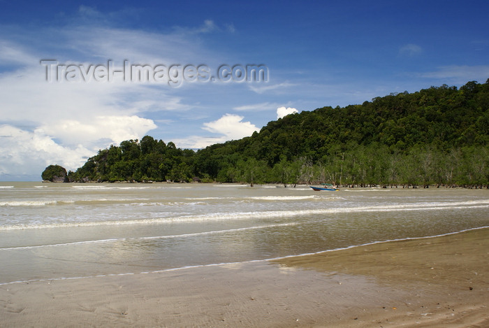 mal562: Bako National Park, Sarawak, Borneo, Malaysia: mangrove forest along the coast at Telok Assam - photo by A.Ferrari - (c) Travel-Images.com - Stock Photography agency - Image Bank