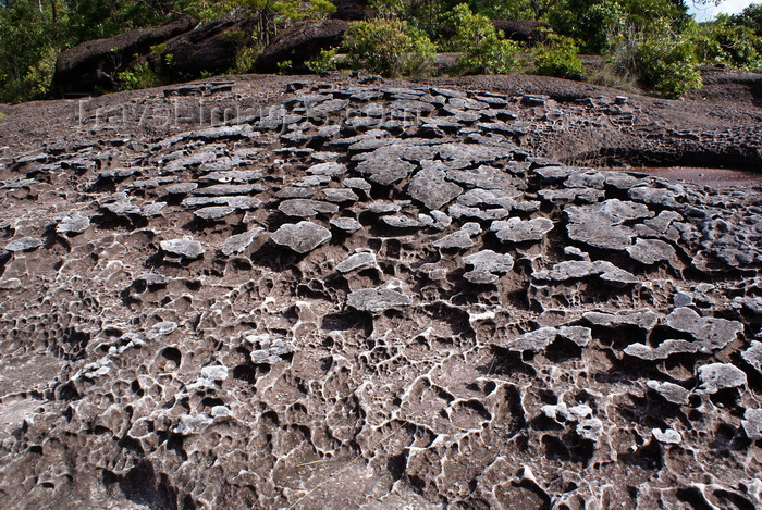 mal565: Bako National Park, Sarawak, Borneo, Malaysia: eroded rocky floor - tide pools - photo by A.Ferrari - (c) Travel-Images.com - Stock Photography agency - Image Bank