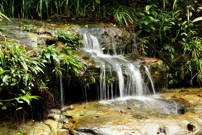 mal571: Bako National Park, Sarawak, Borneo, Malaysia: small waterfall - photo by A.Ferrari - (c) Travel-Images.com - Stock Photography agency - Image Bank