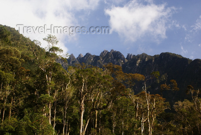 mal578: Mount Kinabalu, Sabah, Borneo, Malaysia: forest and Mount Kinabalu, seen from Mesilau nature resort - photo by A.Ferrari - (c) Travel-Images.com - Stock Photography agency - Image Bank
