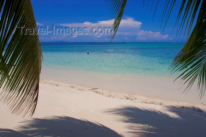 mal604: Sipadan Island, Sabah, Borneo, Malaysia: blue sky and white sandy beach lined with coconut trees - photo by S.Egeberg - (c) Travel-Images.com - Stock Photography agency - Image Bank