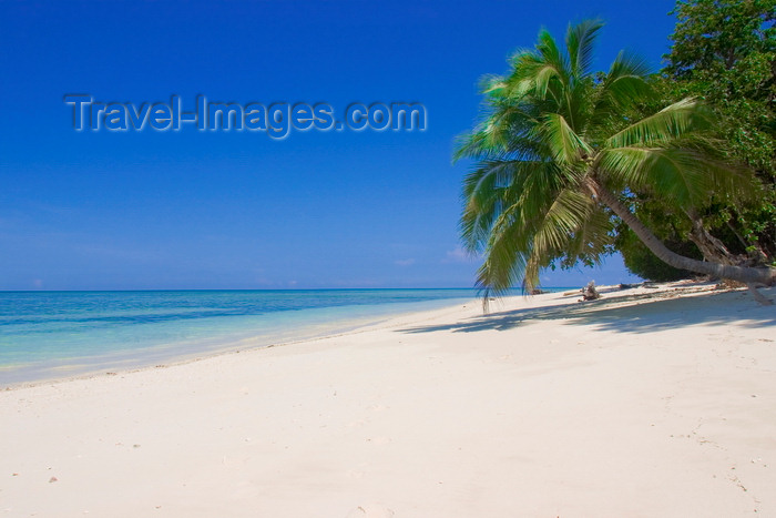 mal611: Sipadan Island, Sabah, Borneo, Malaysia: tropical sandy beach with palm trees - photo by S.Egeberg - (c) Travel-Images.com - Stock Photography agency - Image Bank