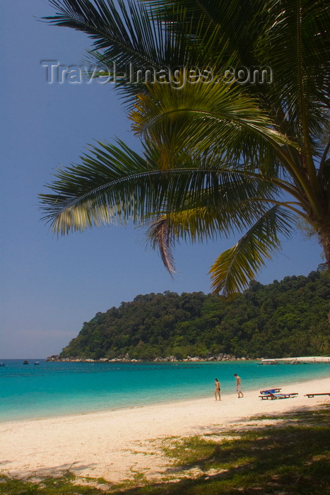 mal622: Perhentian Island, Terengganu, Malaysia: Perhentian Island Resort - Teluk Pauh - PIR - people on white sandy beach and palm tree - photo by S.Egeberg - (c) Travel-Images.com - Stock Photography agency - Image Bank