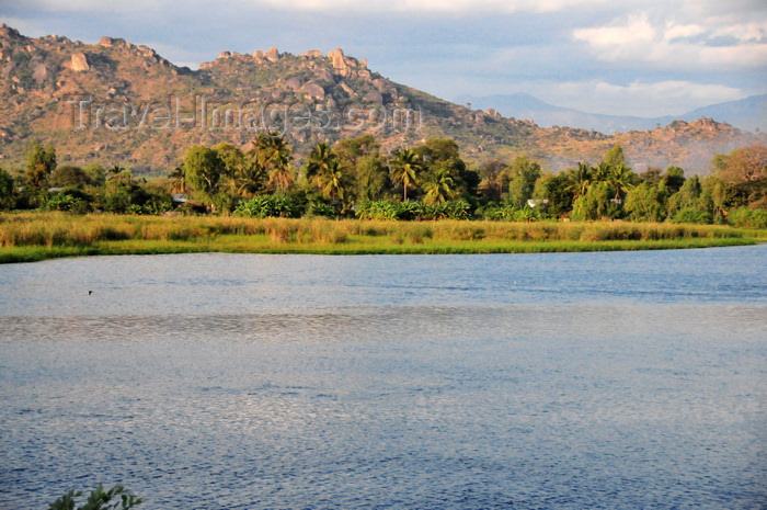 malawi114: Mangochi, Malawi: east bank of the River Shire, 7 km north of lake Malombe - the Shire is an outlet of Lake Malawi and flows into the Zambezi - photo by M.Torres - (c) Travel-Images.com - Stock Photography agency - Image Bank