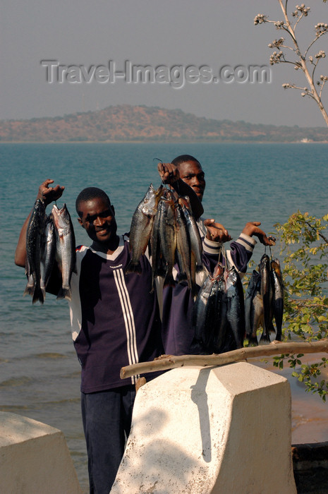 malawi16: Senga Bay, Lake Nyasa, Central region, Malawi: fishermen offer the day's catch - cichlid - photo by D.Davie - (c) Travel-Images.com - Stock Photography agency - Image Bank