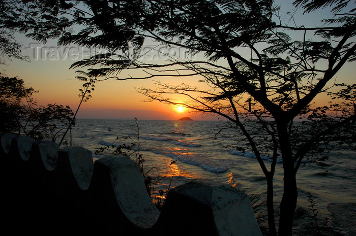 malawi22: Senga Bay, Lake Nyasa, Central region, Malawi: windy sunrise - acacia and wall - photo by D.Davie - (c) Travel-Images.com - Stock Photography agency - Image Bank