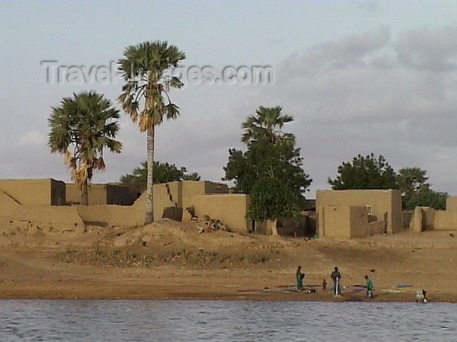 mali1: Mali - River Niger - Tombouctou region: mud houses under the palm trees - photo by A.Slobodianik - (c) Travel-Images.com - Stock Photography agency - Image Bank