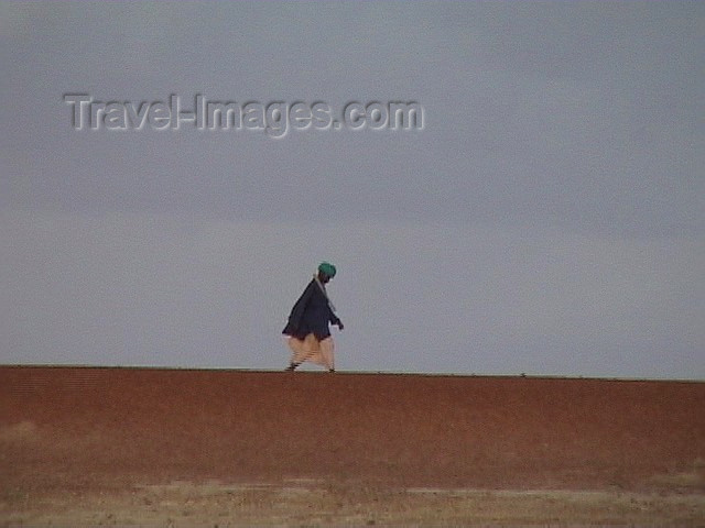 mali11: Mali - River Niger: a lone walker on the sandy banks - photo by A.Slobodianik - (c) Travel-Images.com - Stock Photography agency - Image Bank