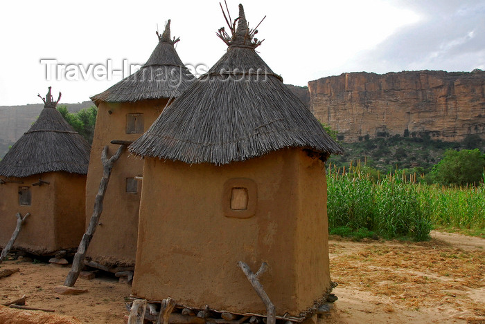 mali13: Bandiagara Escarpment, Dogon country, Mopti region, Mali: Dogon granaries with the cliffs in the background - photo by J.Pemberton - (c) Travel-Images.com - Stock Photography agency - Image Bank