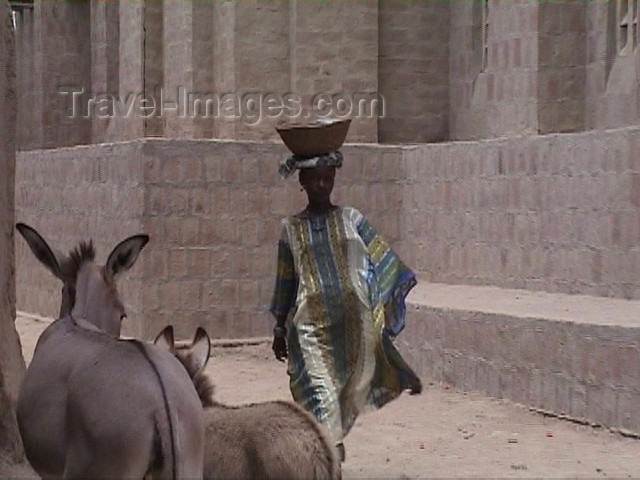 mali26: Mali - Bozo town: street scene - woman and donkeys - photo by A.Slobodianik - (c) Travel-Images.com - Stock Photography agency - Image Bank