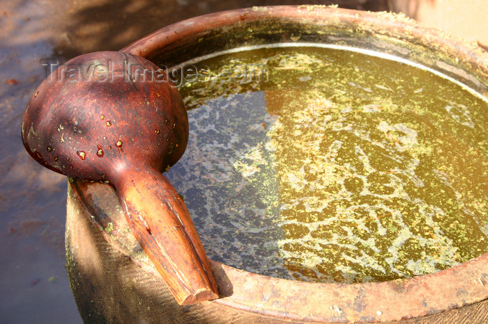 mali54: Mali - ingredients for dying mud cloth - photo by E.Andersen - (c) Travel-Images.com - Stock Photography agency - Image Bank