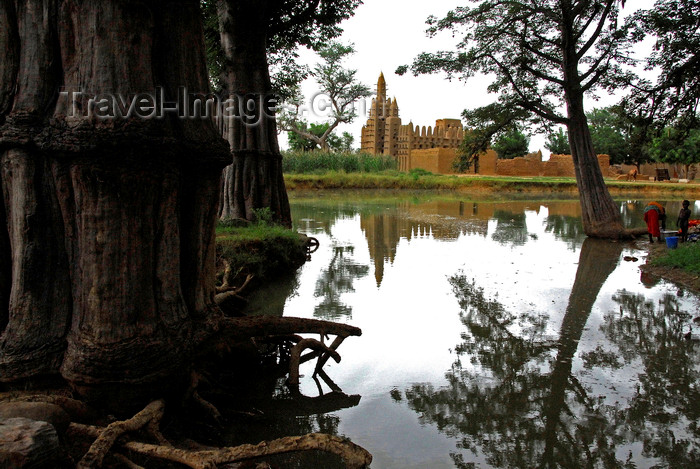 mali63: Bandiagara Escarpment area, Dogon country, Mopti region, Mali: woman doing washing in a pond in front of giant trees and a mud brick Mosque - photo by J.Pemberton - (c) Travel-Images.com - Stock Photography agency - Image Bank