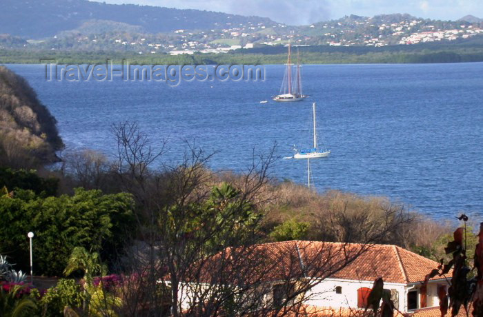 martinique11: Martinique / Martinica: Fort de France bay - sailboats (photographer: R.Ziff) - (c) Travel-Images.com - Stock Photography agency - the Global Image Bank