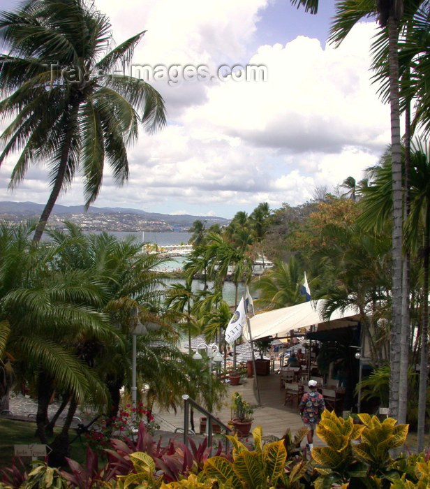 martinique7: Martinique / Martinica: Fort de France / FDF: Hotel Bakkoua Grounds - Sofitel - Accor hotels (photographer: R.Ziff) - (c) Travel-Images.com - Stock Photography agency - the Global Image Bank