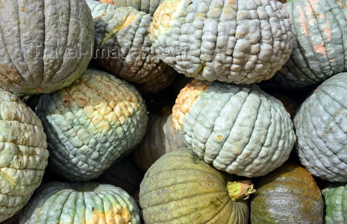 mauritania19: Nouakchott, Mauritania: heap of green and wrinkled pumpkins at the Moroccan Market aka Socogim market - photo by M.Torres - (c) Travel-Images.com - Stock Photography agency - Image Bank