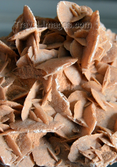 mauritania25: Nouakchott, Mauritania: desert rose stone from the Sahara desert - formation of crystal clusters of gypsum with sand grains - photo by M.Torres - (c) Travel-Images.com - Stock Photography agency - Image Bank