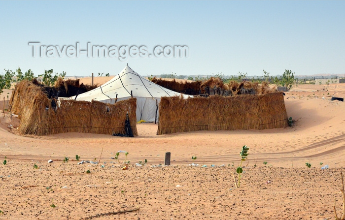 mauritania50: Nouakchott province, Mauritania: traditional Moor tent surrounded by protective thatched wall - white khaima tent in the sand dunes of the Sahara desert - photo by M.Torres - (c) Travel-Images.com - Stock Photography agency - Image Bank