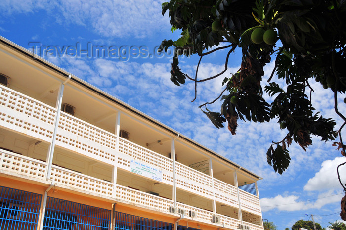 mayotte10: Mamoudzou, Grande-Terre / Mahore, Mayotte: breadfruit tree and the Social Security building - Caisse de Securité Sociale - photo by M.Torres - (c) Travel-Images.com - Stock Photography agency - Image Bank