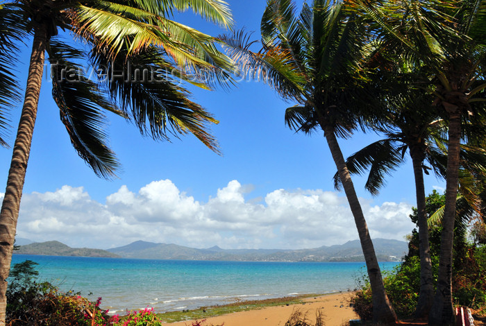 mayotte49: Pamandzi, Petite-Terre, Mayotte: beach and coconut trees - ilôt M'Bouzi and Mahoré island in the background - photo by M.Torres - (c) Travel-Images.com - Stock Photography agency - Image Bank