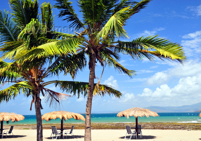 mayotte60: Dzaoudzi, Petite-Terre, Mayotte: beach parasols and coconut trees - Faré beach - Boulevard des Crabes - photo by M.Torres - (c) Travel-Images.com - Stock Photography agency - Image Bank