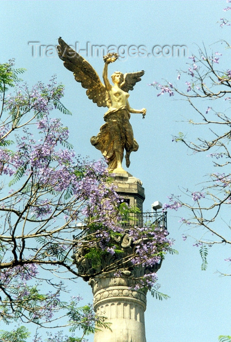 mexico10: Mexico City: the Angel of Independence / memorias de Berlin - El Angel de la Independencia - Paseo de la Reforma - photo by M.Torres - (c) Travel-Images.com - Stock Photography agency - Image Bank