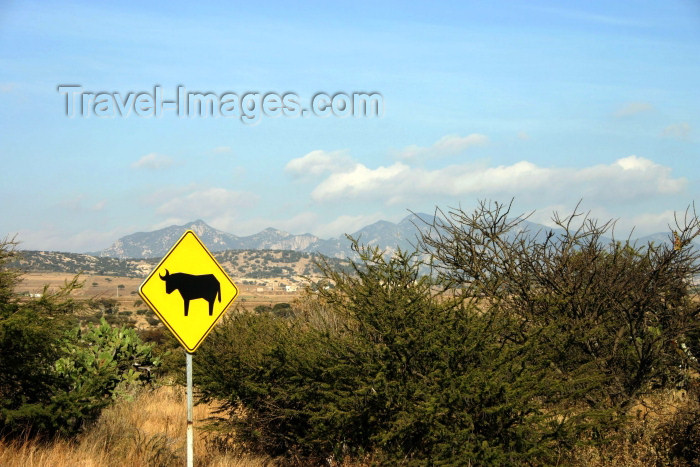 mexico118: Mexico - The high desert (Guanajuato): bull crossing - traffic sign (photo by R.Ziff) - (c) Travel-Images.com - Stock Photography agency - Image Bank