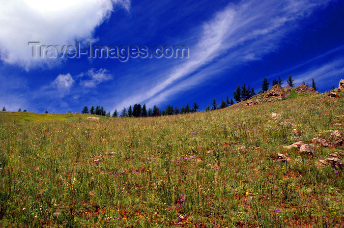 mongolia167: Gorkhi-Terelj National Park, Tov province, Mongolia: Alpine meadows - photo by A.Ferrari - (c) Travel-Images.com - Stock Photography agency - Image Bank