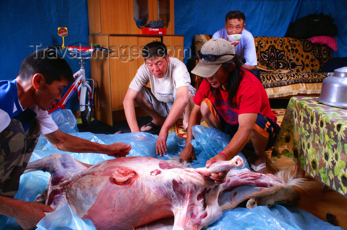 mongolia206: Gobi desert, southern Mongolia: skining a goat, Khongoryn Els, Gurvan Saikhan National Park - photo by A.Ferrari - (c) Travel-Images.com - Stock Photography agency - Image Bank