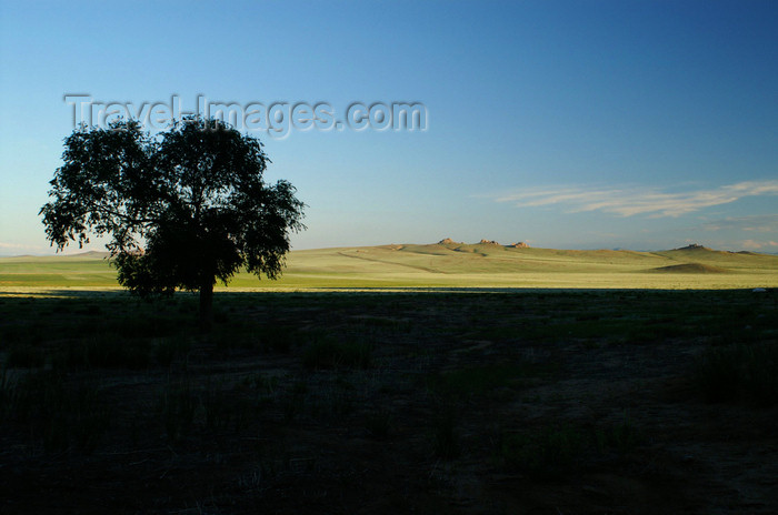 mongolia237: Khogno Khan Uul, central Mongolia: grasslands in the morning light - photo by A.Ferrari - (c) Travel-Images.com - Stock Photography agency - Image Bank